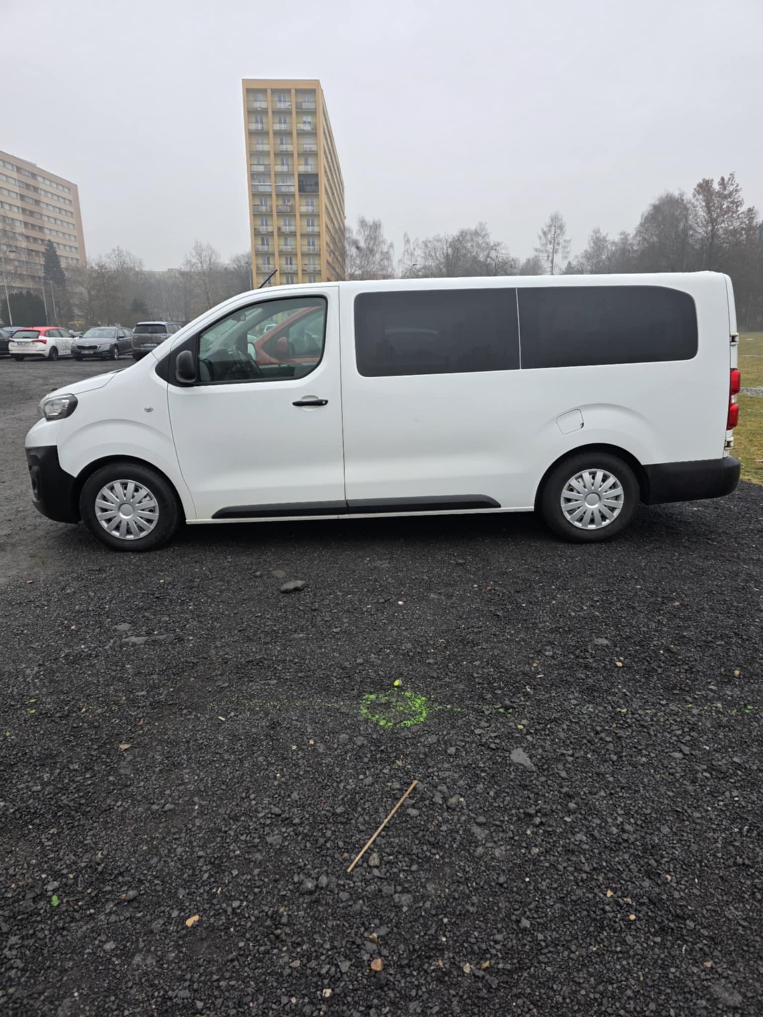 Peugeot_expert_2001_9_mist_1